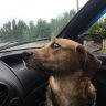 СынСвоейМатери