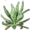 ujzw5Hw.png