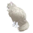 pet_cat_0006.dds_.png