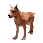 pet_dog_0007.png