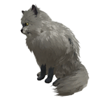 pet_cat_0005.dds_.png