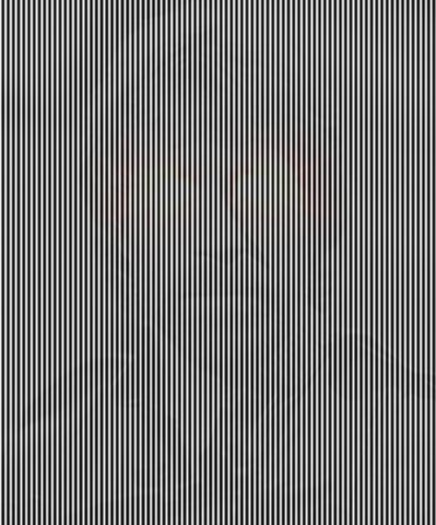 x_8afe1175.jpg