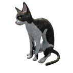 pet_cat_0002.dds_.png