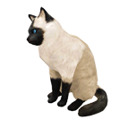 pet_cat_0008.dds_.png