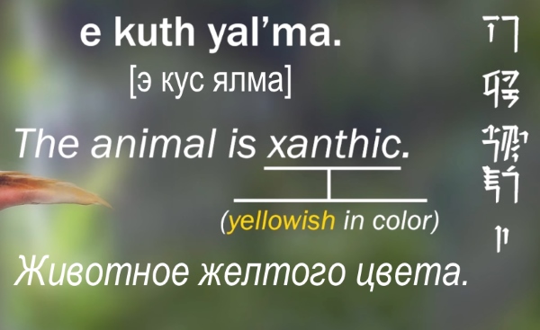animal_is_yellow.jpg