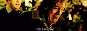 HP-harry-potter-23628475-500-180.gif