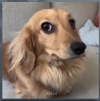 1780760233196.png