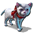 3cf49WhiteKittenMiniatureLarge.png