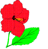 s12799.gif
